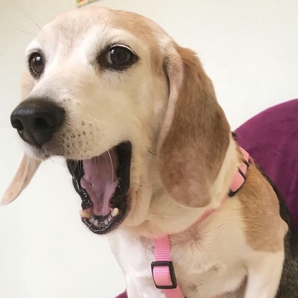 Meet your Posher, Pat - Picture 1 of 1